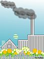 Flowers and the Factory.jpg