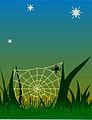 Nightspider.JPG