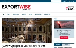 Export Wise