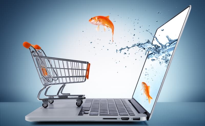 Homepage SEO for Ecommerce Websites