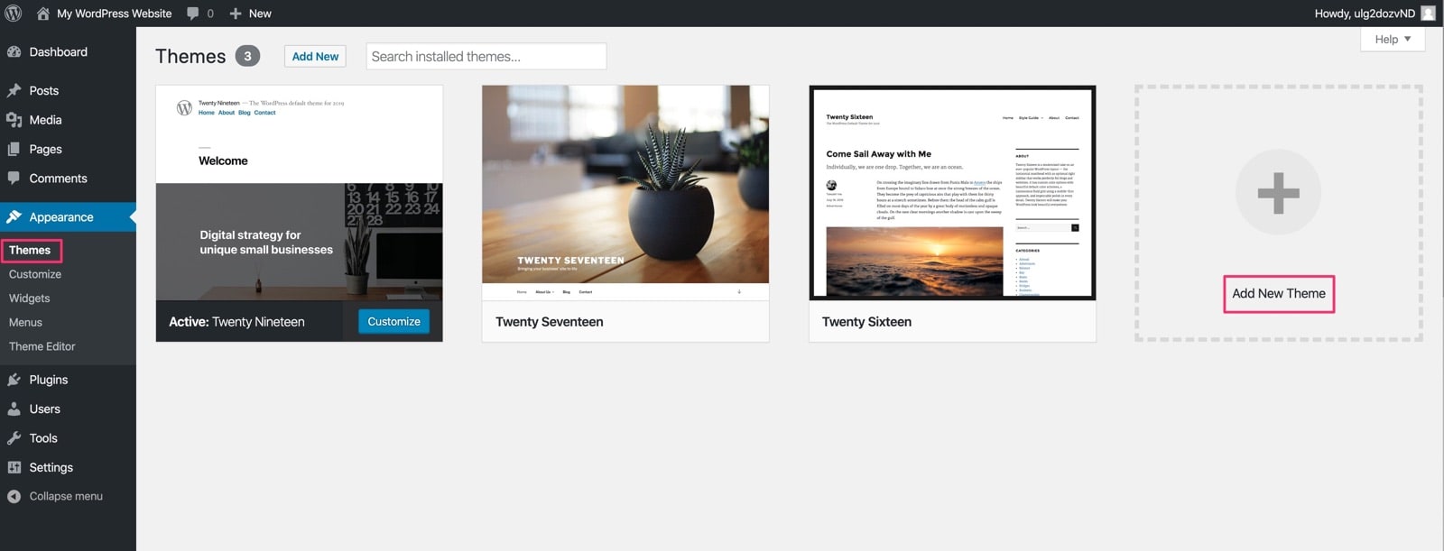 Install WordPress Theme