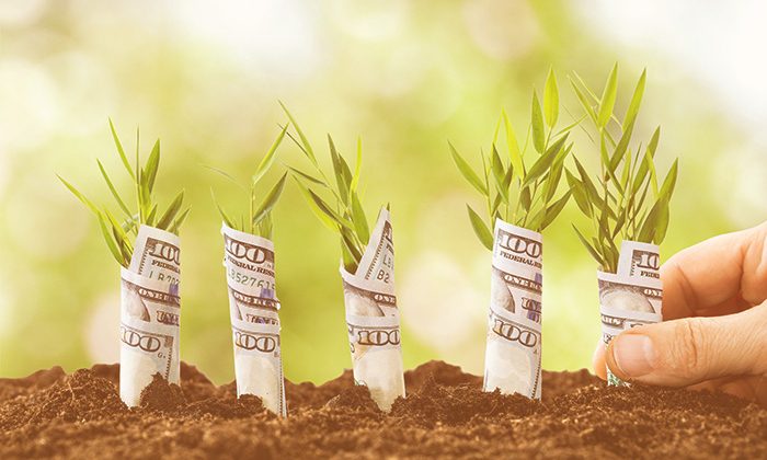 Running Profitable PPC Campaigns
