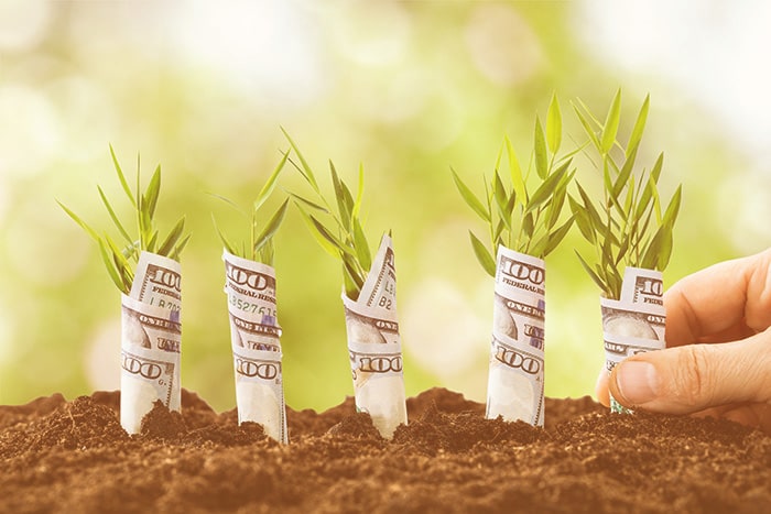 Running Profitable PPC Campaigns