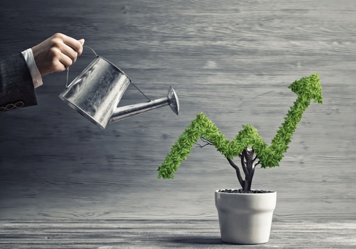 seo strategy