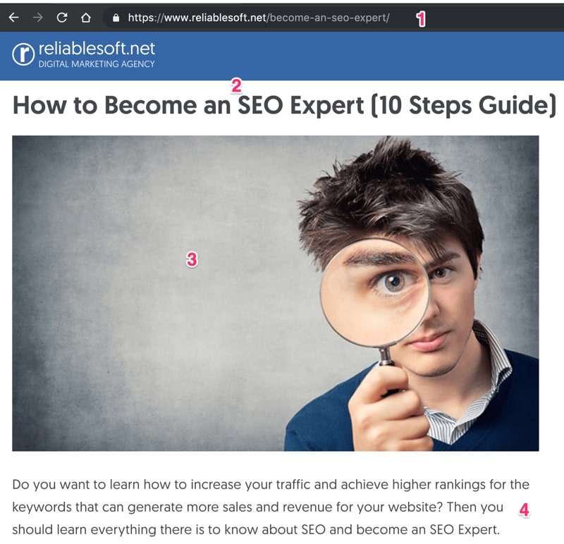 WordPress On Page SEO Example