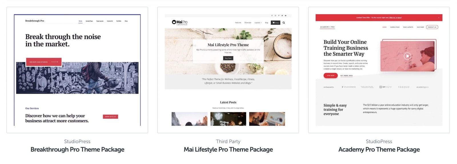 WordPress Premium Themes