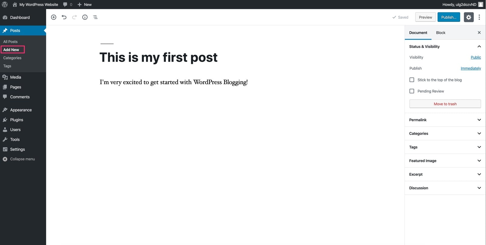 wordpress new post