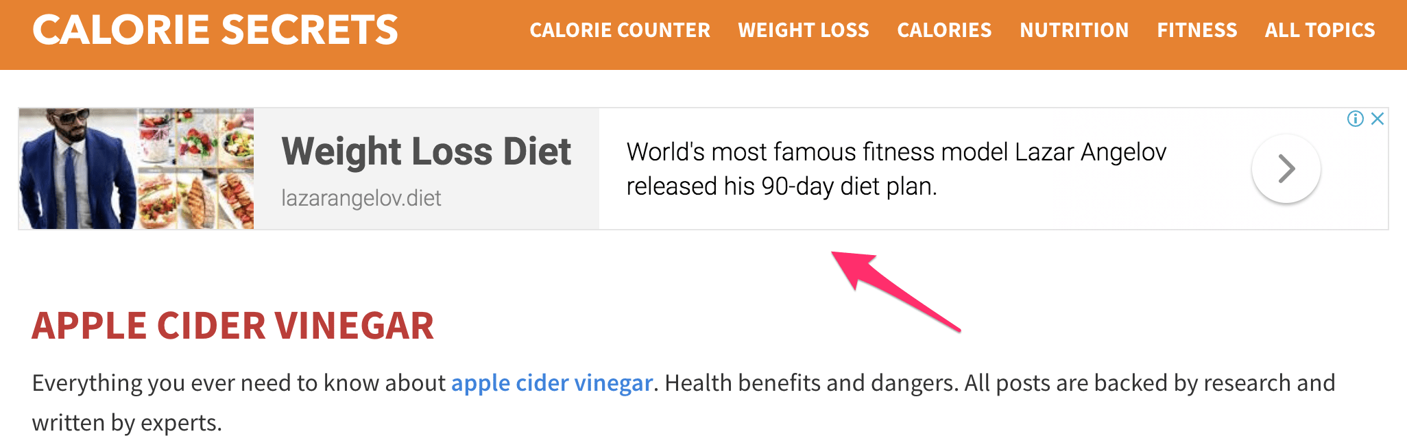 Adsense Ads on Publisher Website