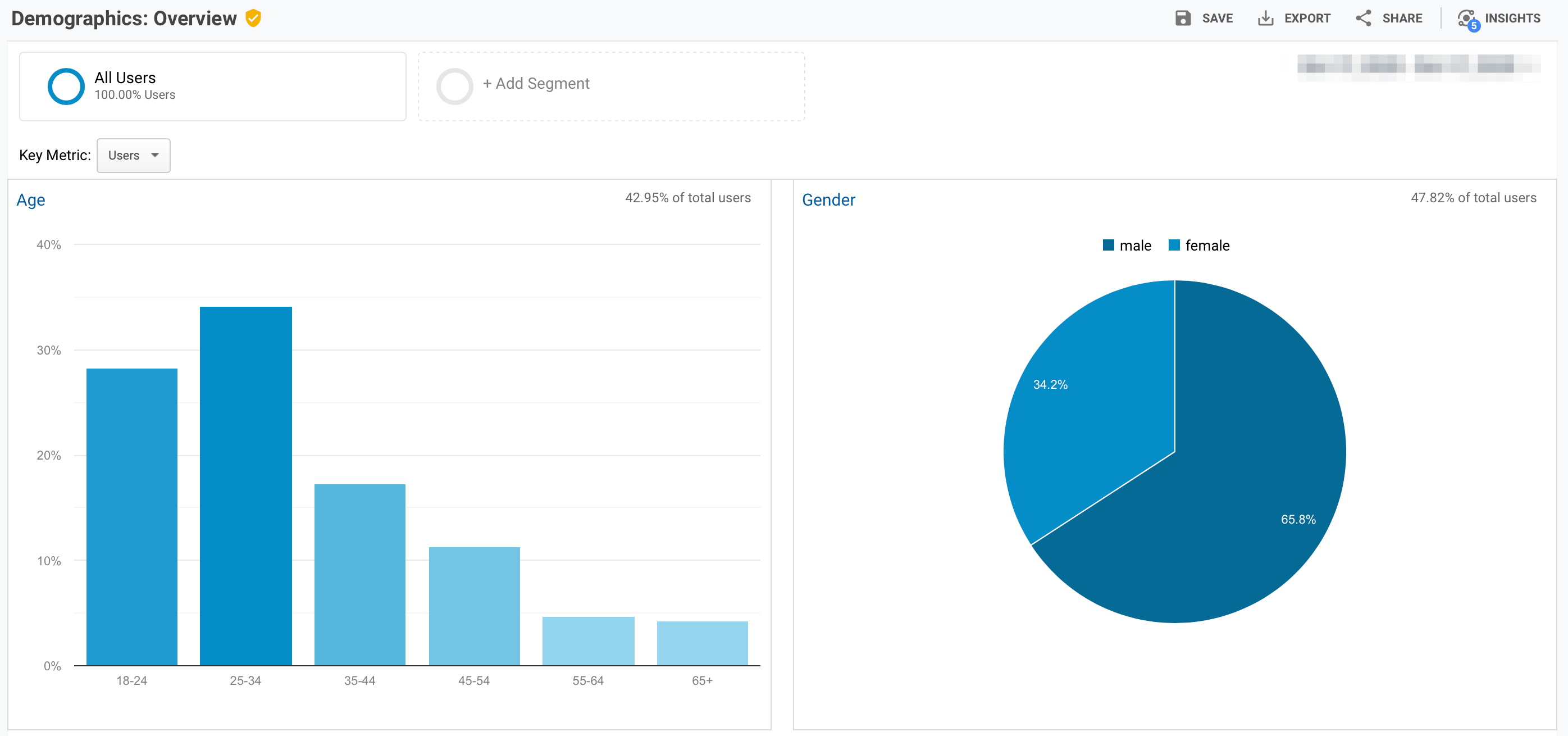 Demographics Overview Report - Google Analytics