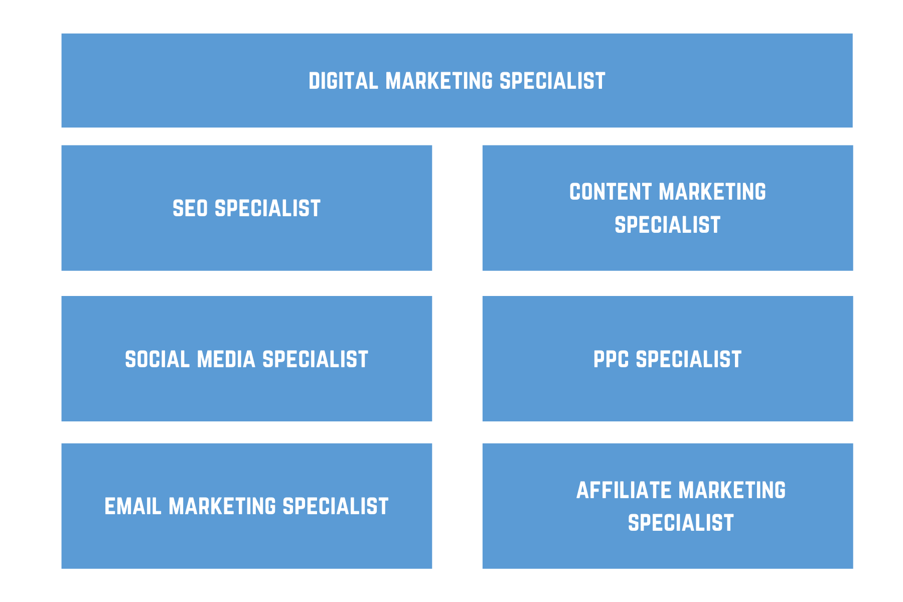 Digital Marketing Specializations