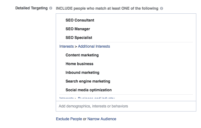 Facebook Audience Targeting
