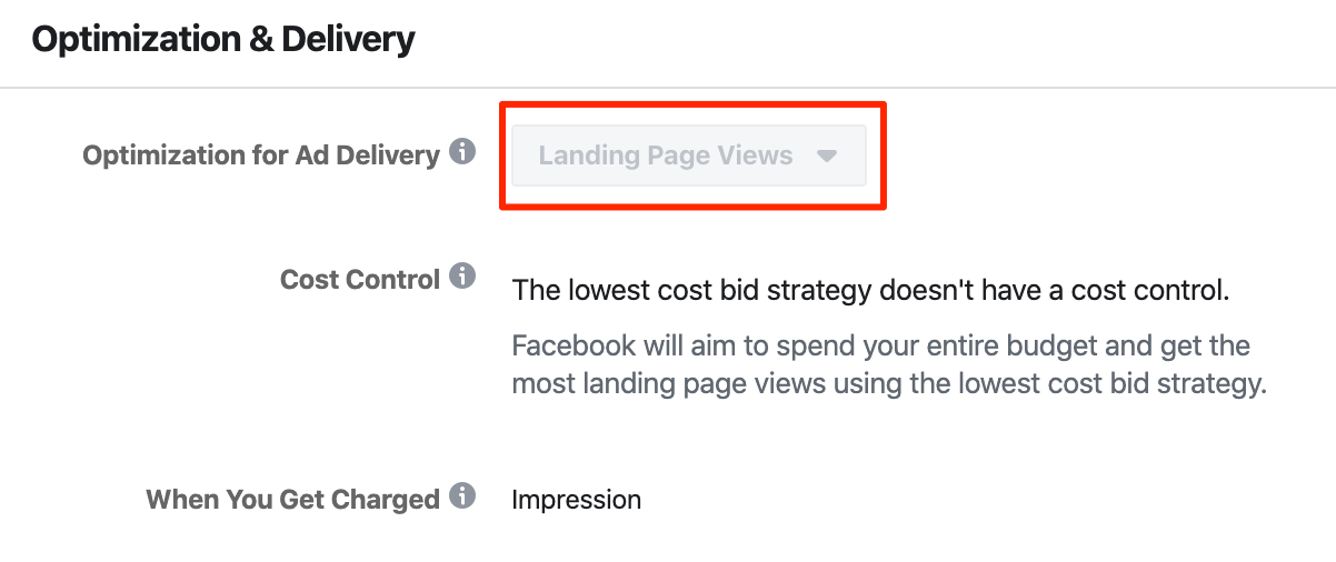 Facebook Optimization Options