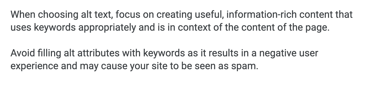 Google Alt Text Guidelines