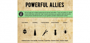 infographic