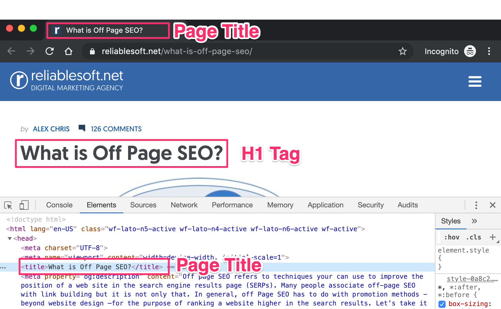 Page Title