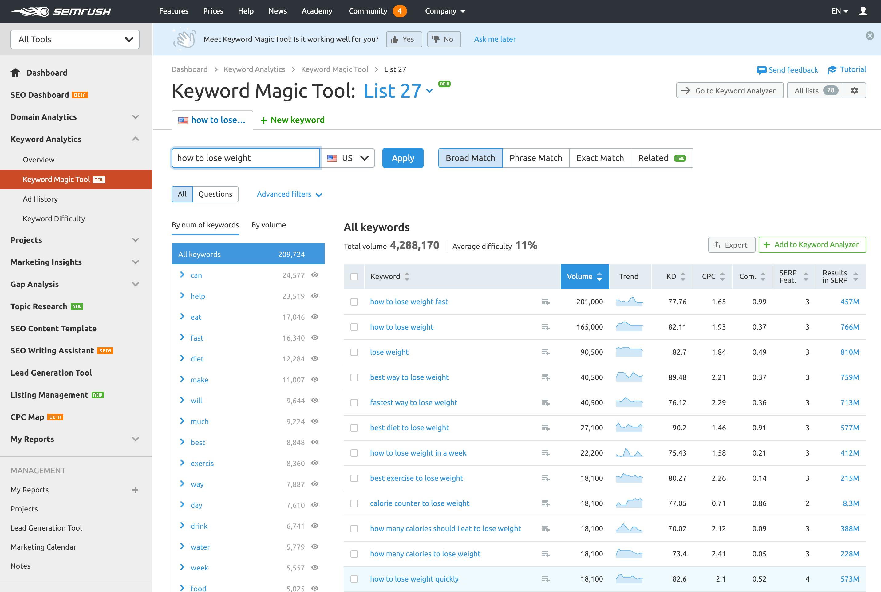 Keyword Magic Tool 