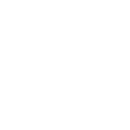 SEO Course