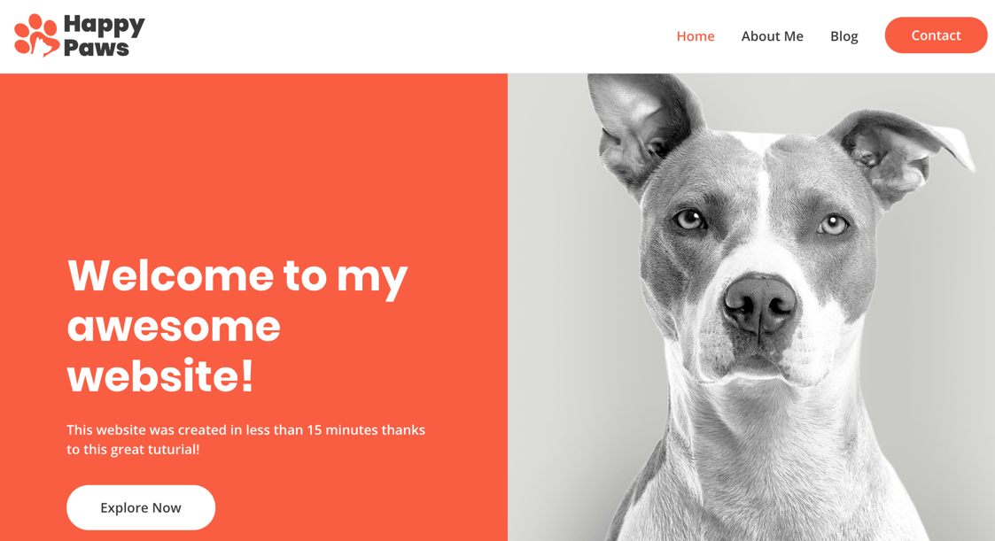 start a website example